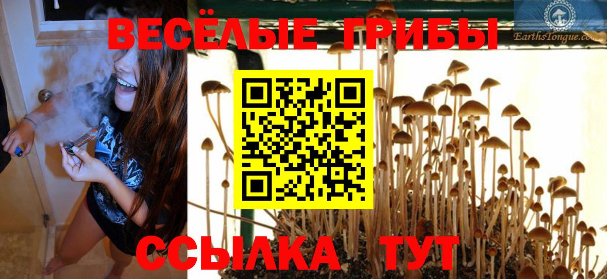 Псилоцибиновые грибы Magic Shrooms  Псилоцибиновые грибы прущие грибы  Вход с VPN  Новочебоксарск 